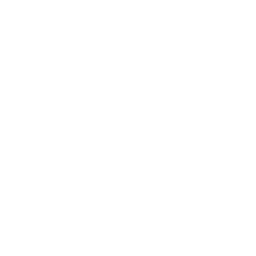 Ahmed Mahmoud Portfolio Logo